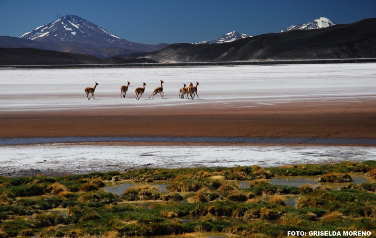 Turismo local: Rincones de Argentina que ningún turista debe perderse