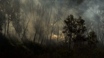 Quiénes son los dirigentes y los sectores que buscan frenar la ley de humedales