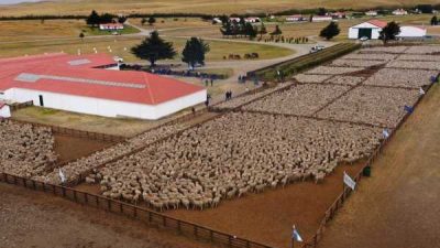 Los activos que ocultáis gozan de buena impunidad