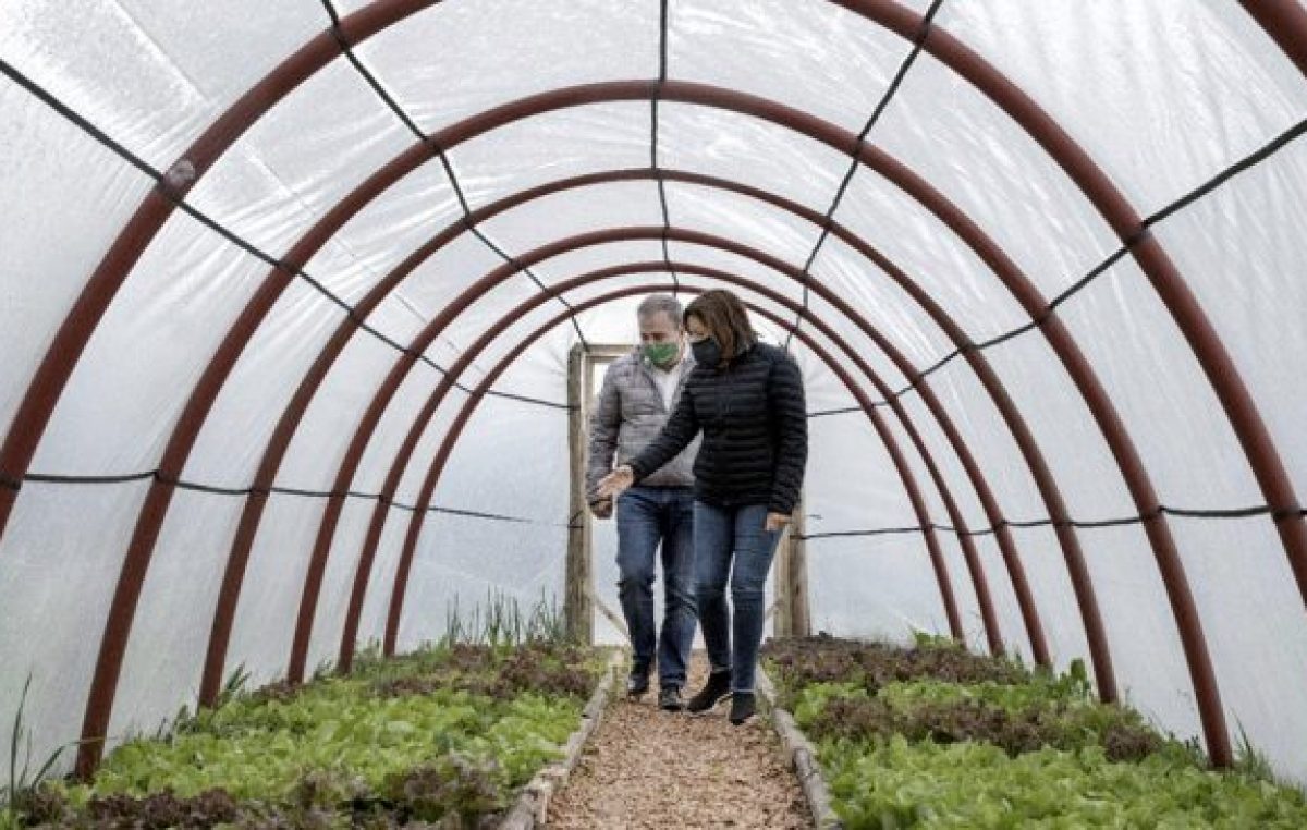 Construyen invernaderos solidarios que promuevan la soberanía alimentaria