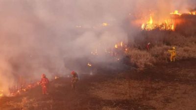En un año las quemas de pastizales aumentaron más de 120 por ciento en Santa Fe