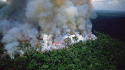 La Amazonía brasileña registró en agosto unos 30.000 focos de incendio