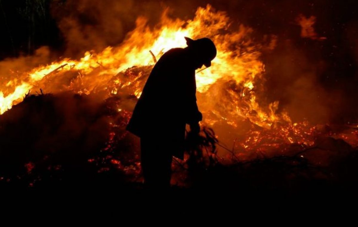En 20 años los incendios dañaron una superficie equivalente a 12 ciudades de Córdoba