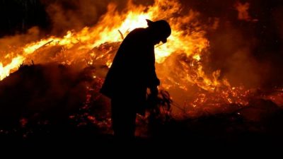En 20 años los incendios dañaron una superficie equivalente a 12 ciudades de Córdoba