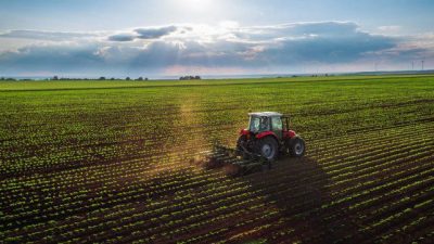 María Teresa aplicará un sistema de tasa diferenciada para beneficiar a pequeños propietarios de tierras