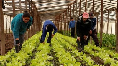 Una experiencia cooperativa en Daireaux: «Mucha gente que no tenía trabajo se hizo productora» 