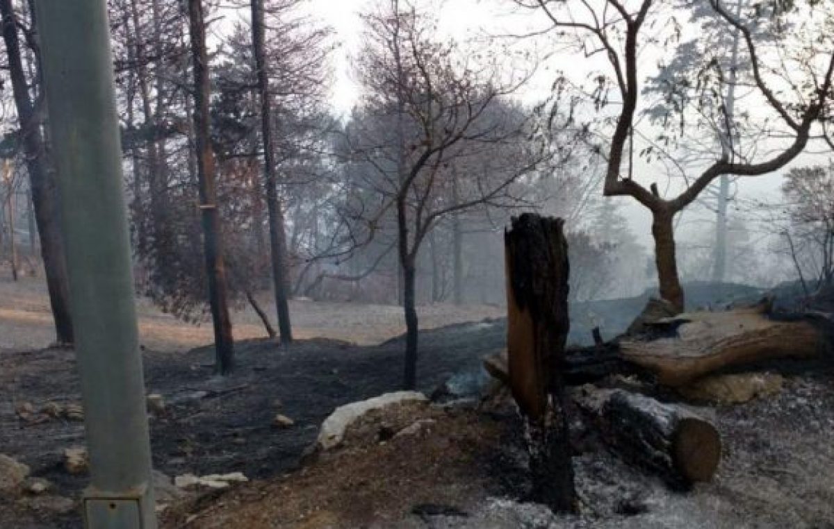 Argentina, a punto de llegar al millón de hectáreas incendiadas