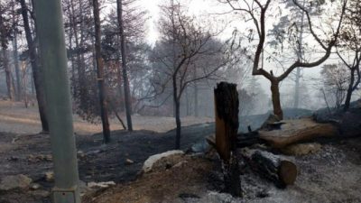 Argentina, a punto de llegar al millón de hectáreas incendiadas