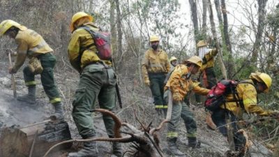 753 Ha consumidas por las llamas en el Parque Nacional Calilegua