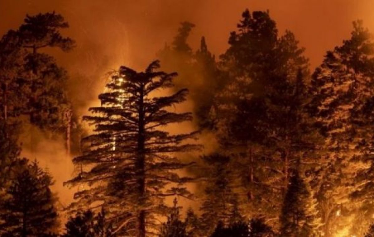 Diputados avanza con ley que busca frenar los incendios