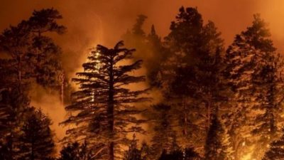 Diputados avanza con ley que busca frenar los incendios