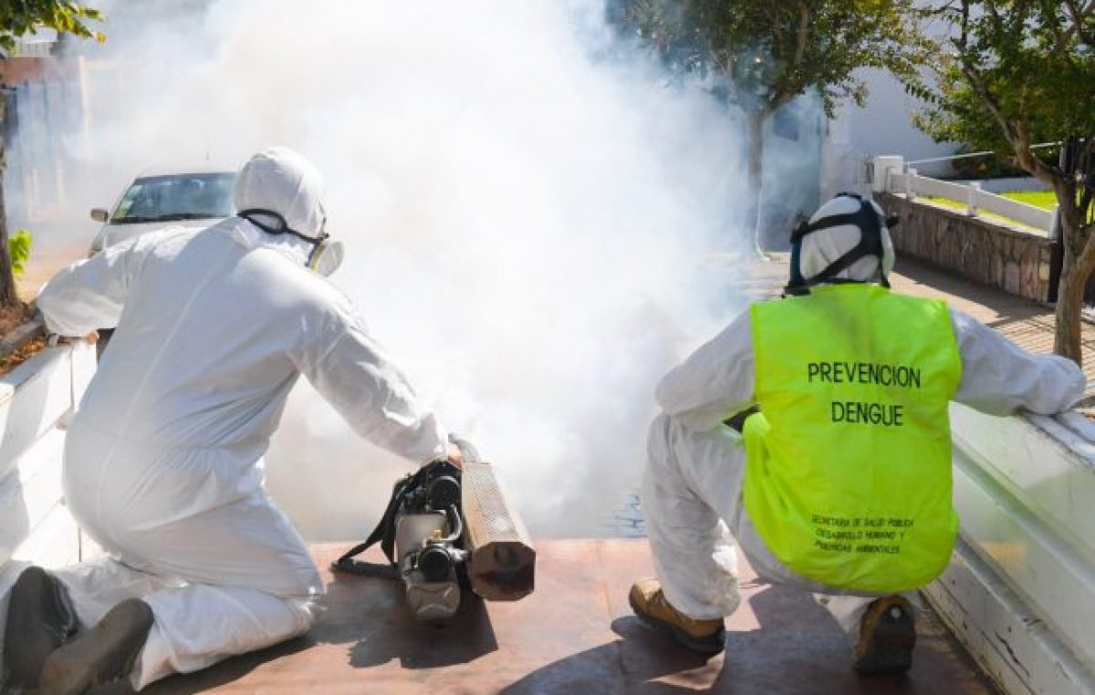 Las provincias retoman las acciones para combatir al mosquito transmisor