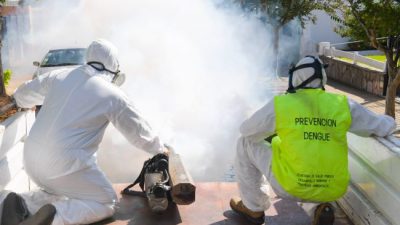 Las provincias retoman las acciones para combatir al mosquito transmisor