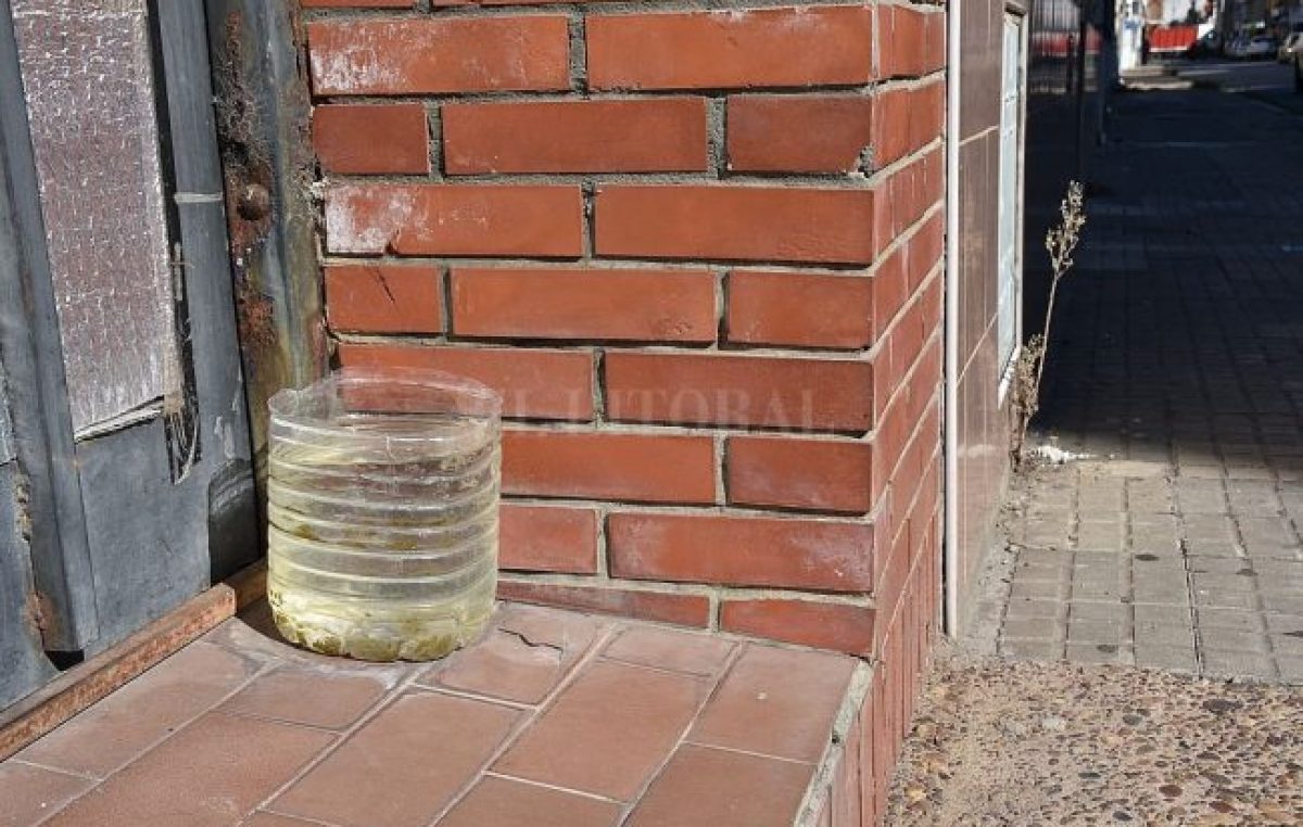 Tras una temporada récord, se anticipan acciones para prevenir el dengue