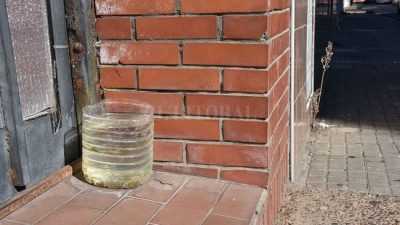 Tras una temporada récord, se anticipan acciones para prevenir el dengue