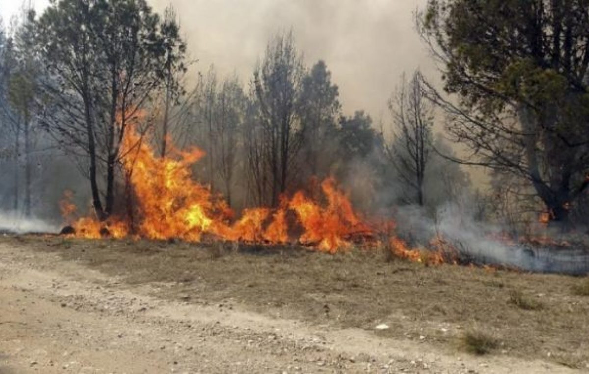 Más de 190 mil hectáreas quemadas por los incendios forestales en Córdoba