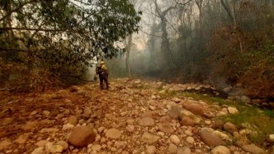 Son más de 18.000 las hectáreas quemadas en las Yungas jujeñas