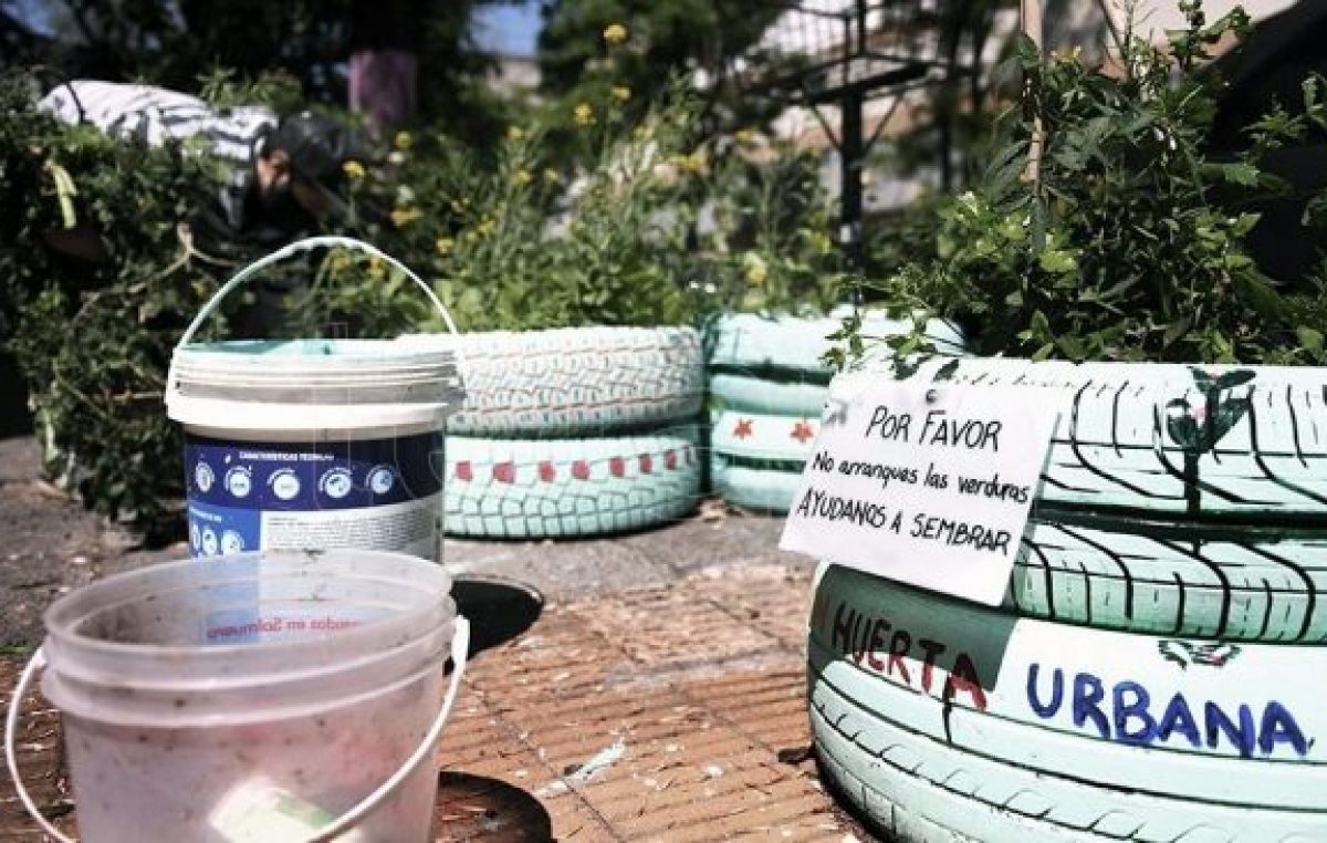 Vecinos compostan sus restos orgánicos de forma comunitaria y barrial en la ciudad de Buenos Aires