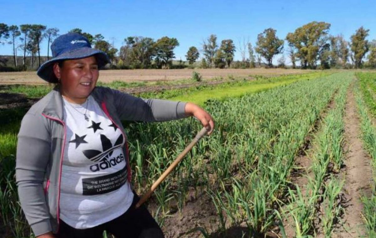 El coronavirus recrudece las desigualdades que enfrentan las mujeres rurales en América Latina