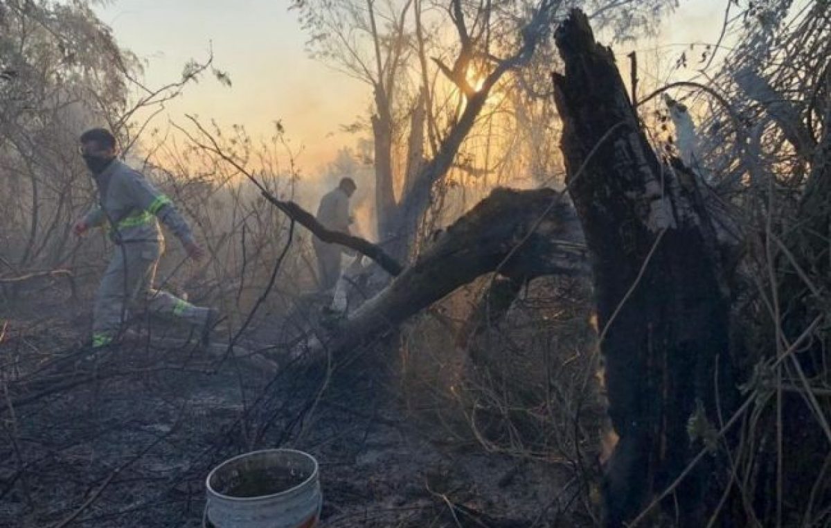 El fuego arrasó con las casas de los isleños del Cordón Industrial