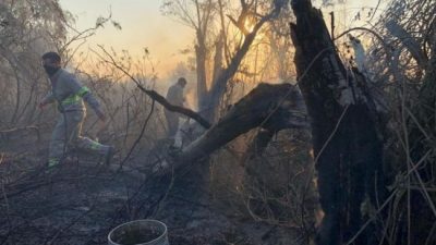 El fuego arrasó con las casas de los isleños del Cordón Industrial