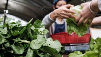 Consumidores pagaron cinco veces más por los alimentos