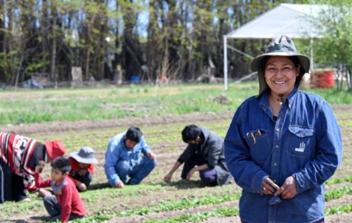 De la agricultura familiar salen la mayoría de los alimentos que comemos