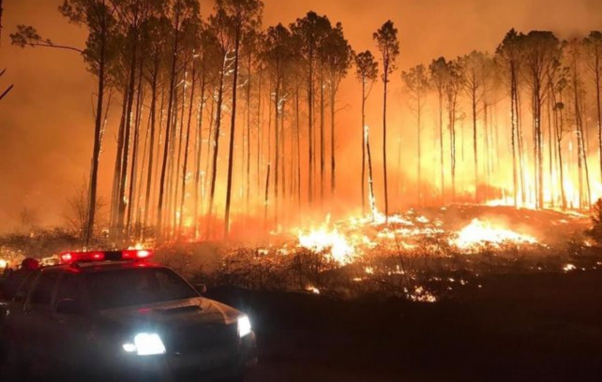 Córdoba: «Nunca hubo tanta pérdida de biodiversidad»