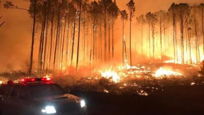 Córdoba: «Nunca hubo tanta pérdida de biodiversidad»