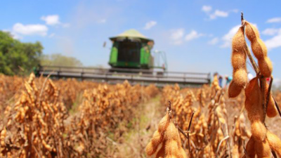 Qué hay detrás de las nuevas medidas económicas: un premio de 6000 millones de dólares