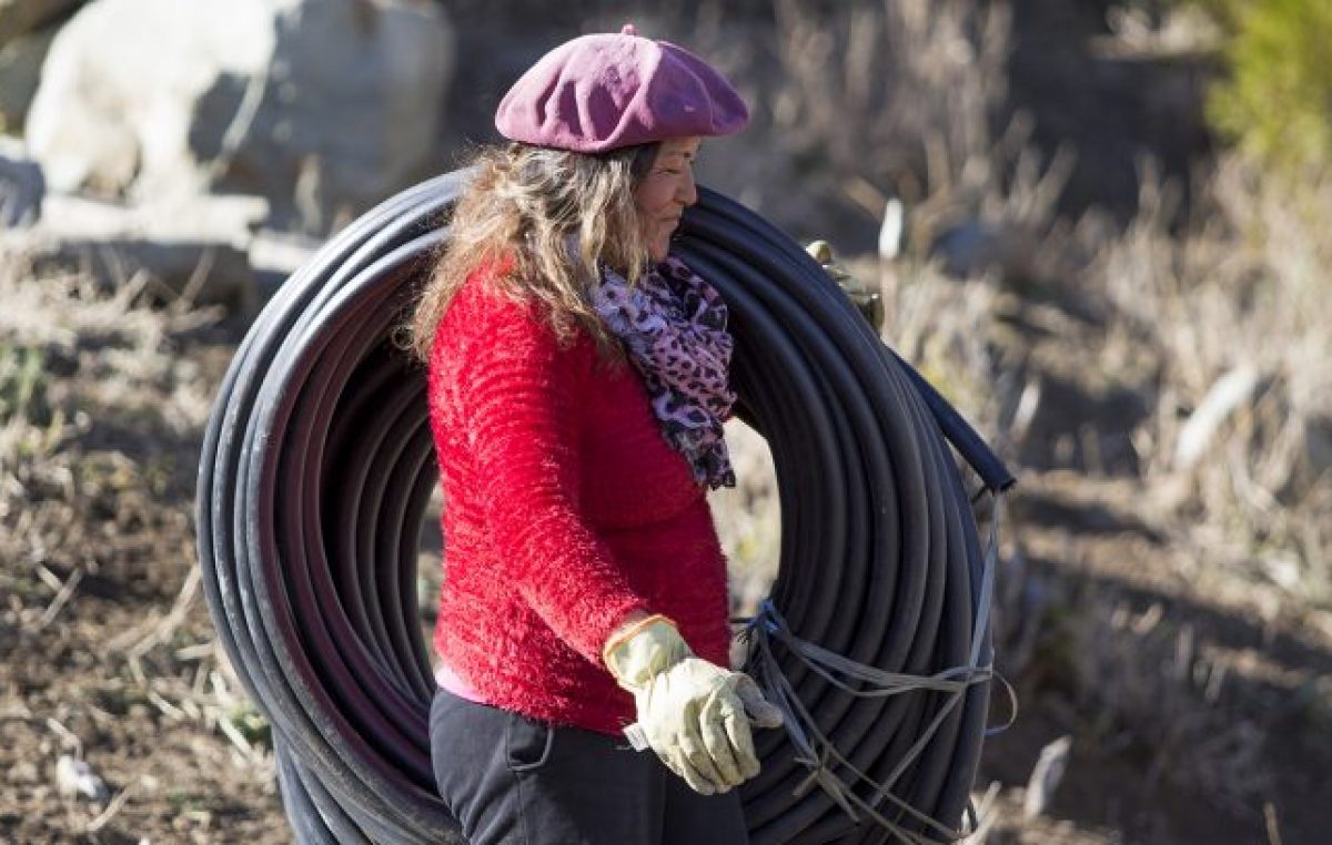 Neuquén homenajea a sus mujeres rurales