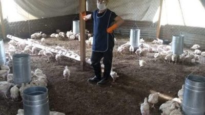 Cómo es el programa del Gobierno para que los desocupados produzcan alimentos 
