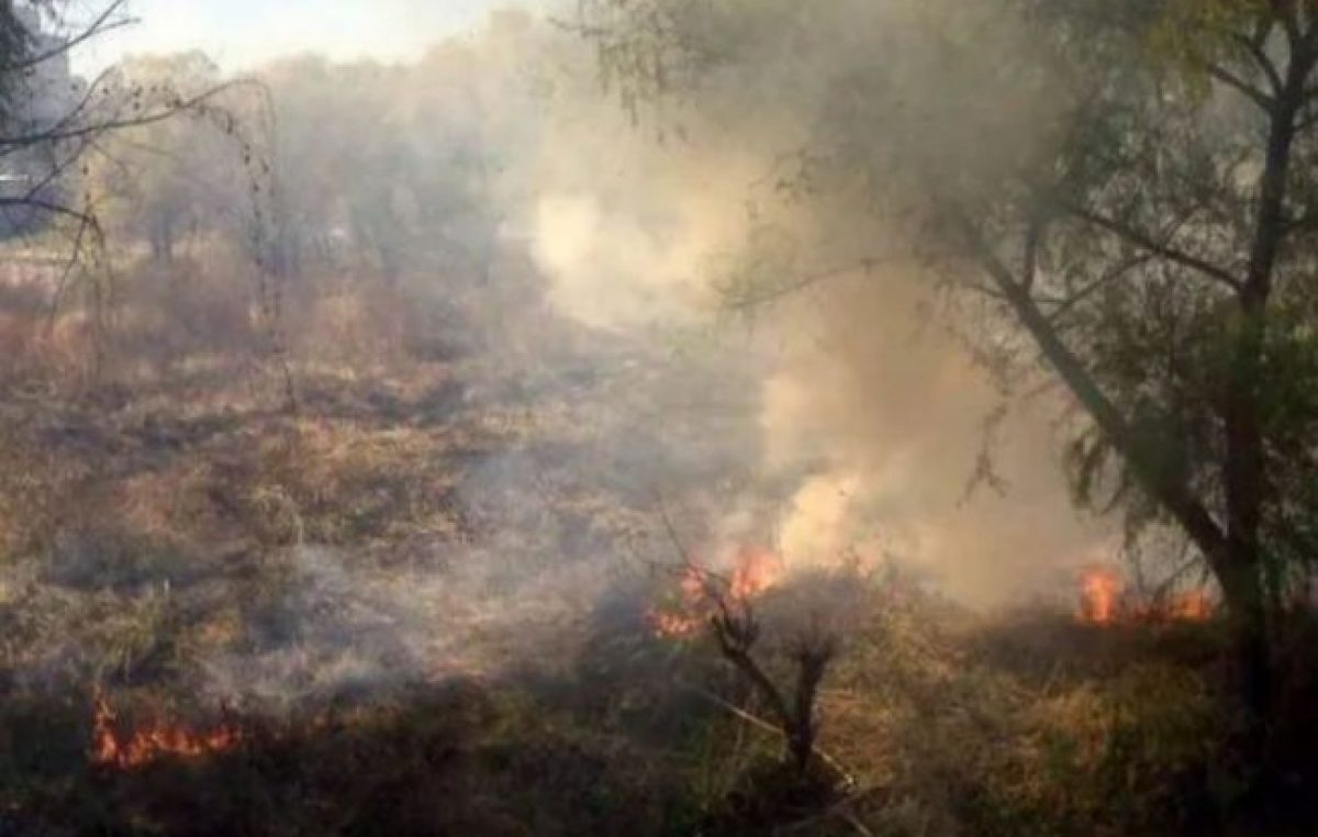 Incendios forestales: el Parque Nacional Calilegua y la Reserva Natural Las Lancitas están en riesgo