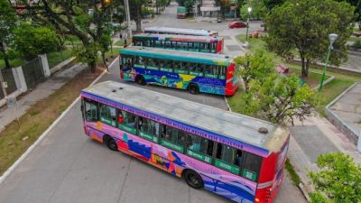 Tafí viejo habilitó la primera línea ecológica de transporte urbano