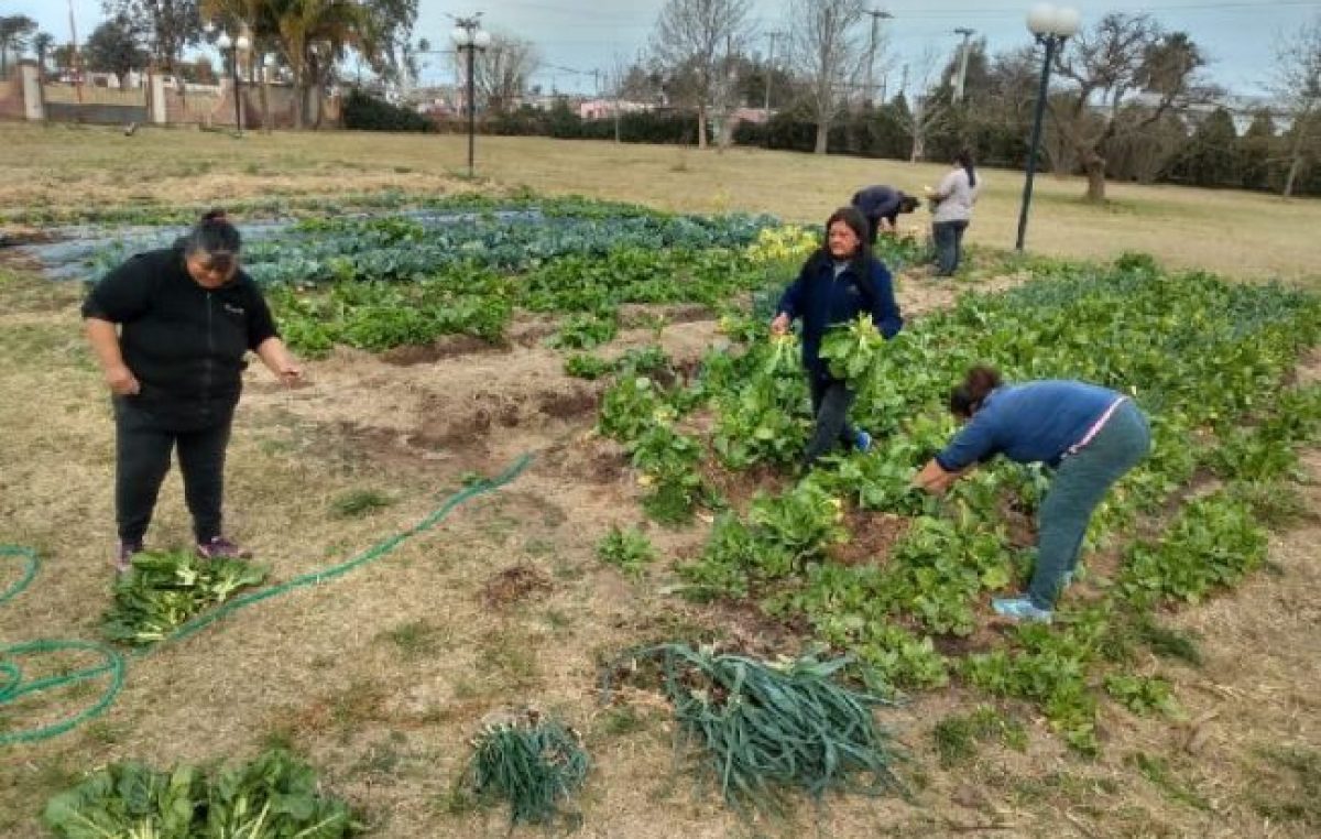 Con una huerta ecológica Brinkmann crea su tercera cooperativa de trabajo