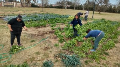 Con una huerta ecológica Brinkmann crea su tercera cooperativa de trabajo