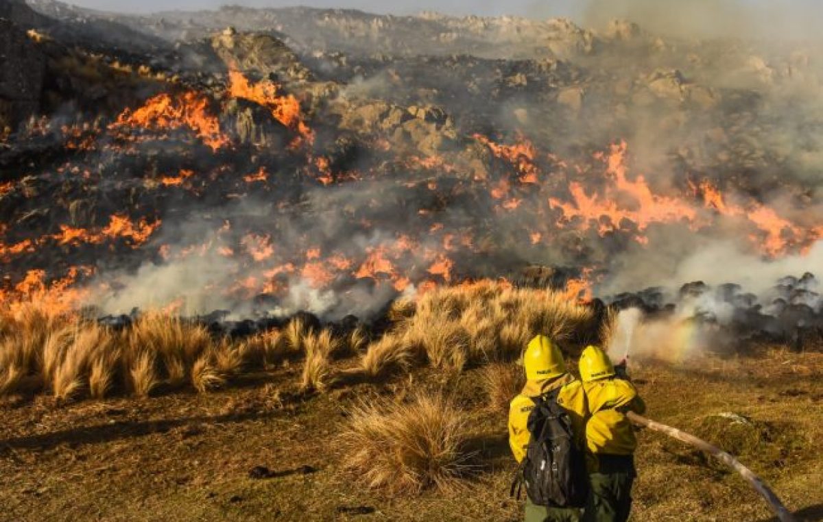 Incendios: Córdoba, después del desastre