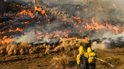 Incendios: Córdoba, después del desastre