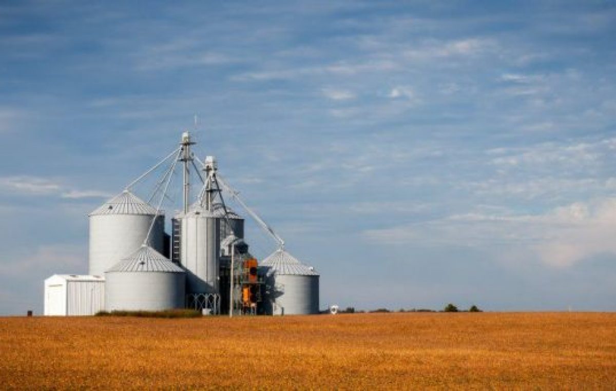FMI: la Sociedad Rural Argentina pidió eliminar retenciones