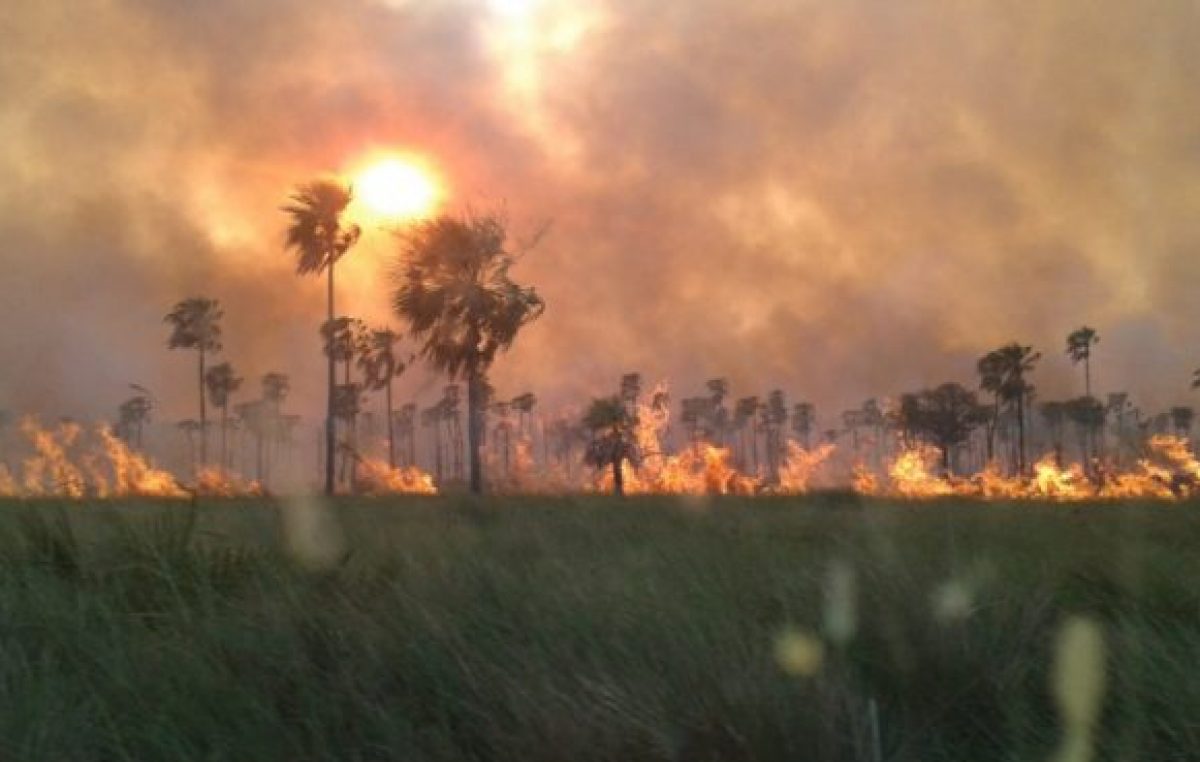 Aprobaron proyecto que prohíbe la venta de campos incendiados intencionalmente