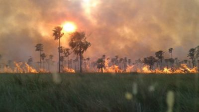 Aprobaron proyecto que prohíbe la venta de campos incendiados intencionalmente