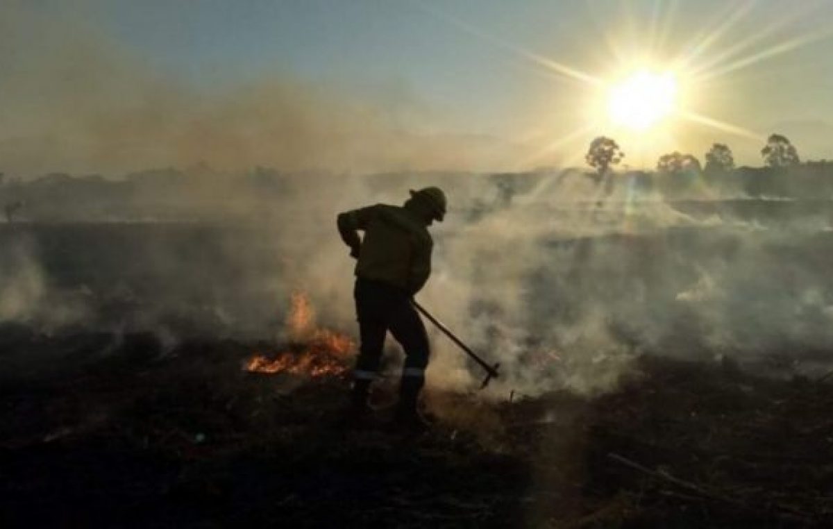 Ya se quemaron más de 22 mil hectáreas por los incendios forestales en las yungas