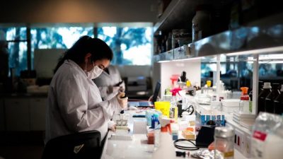 Qué es el Covax, el acuerdo firmado por más de 172 países por el coronavirus