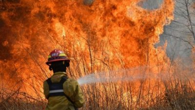 El año en el que más de un millón de hectáreas fueron arrasadas en el país por incendios forestales