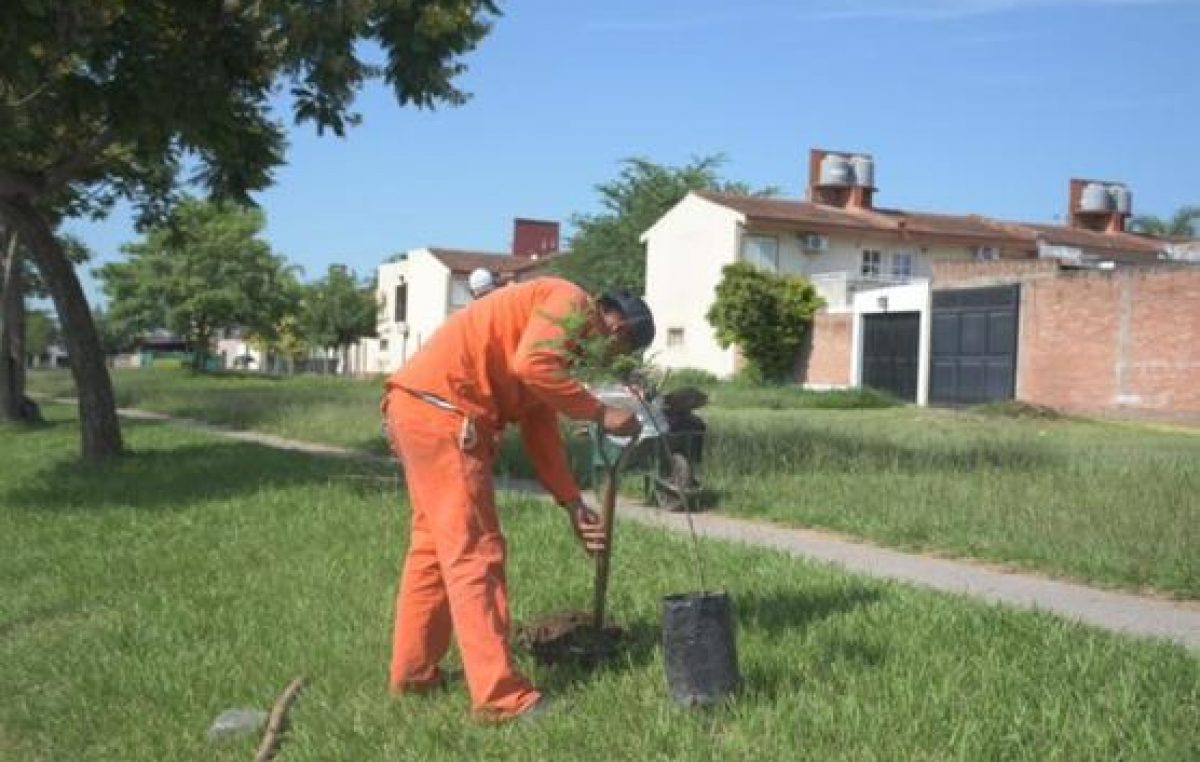 Refuerzan el pulmón verde de Lomas de Tafí con 3000 árboles