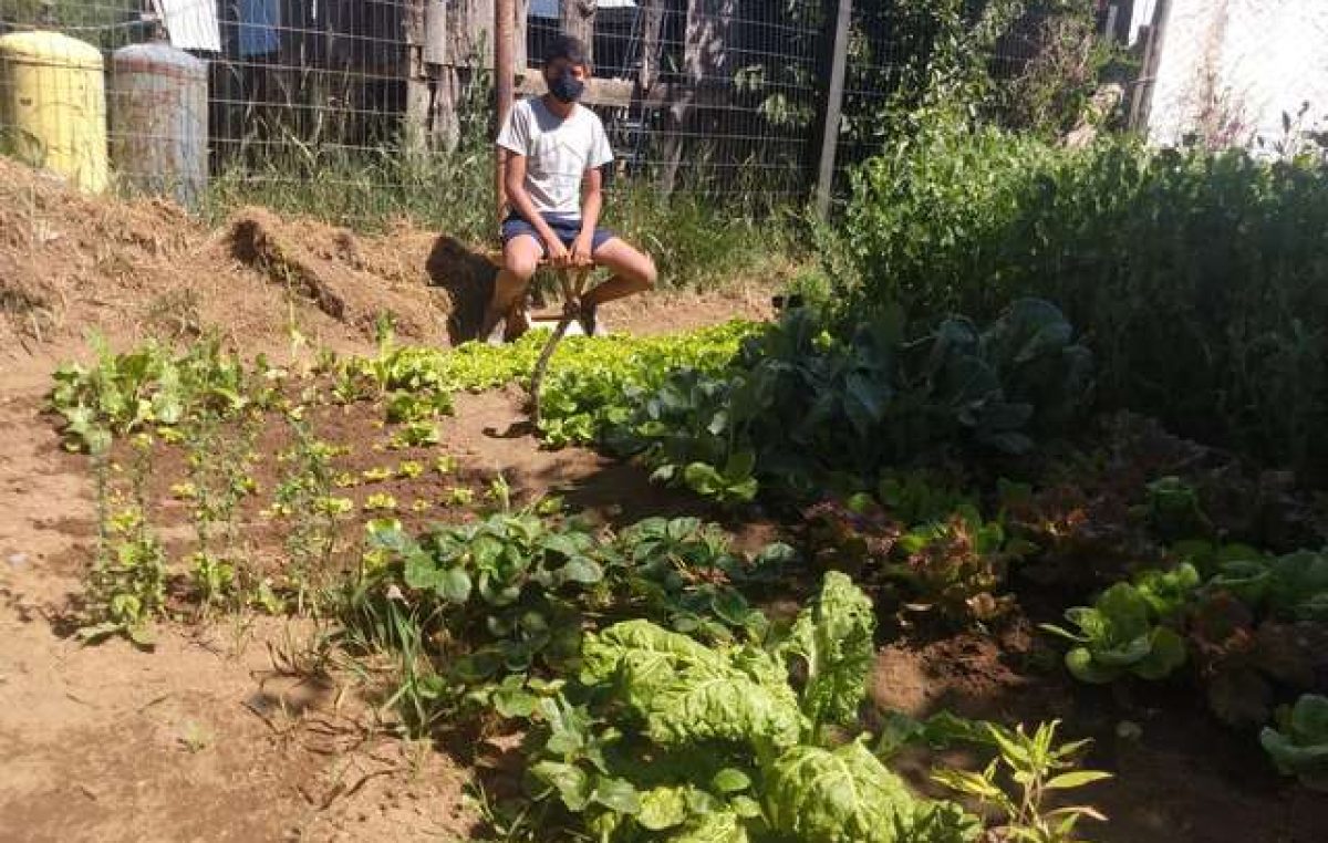Durante la pandemia creció la cantidad de huertas urbanas en Bariloche