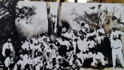 Las lecciones de La Forestal
