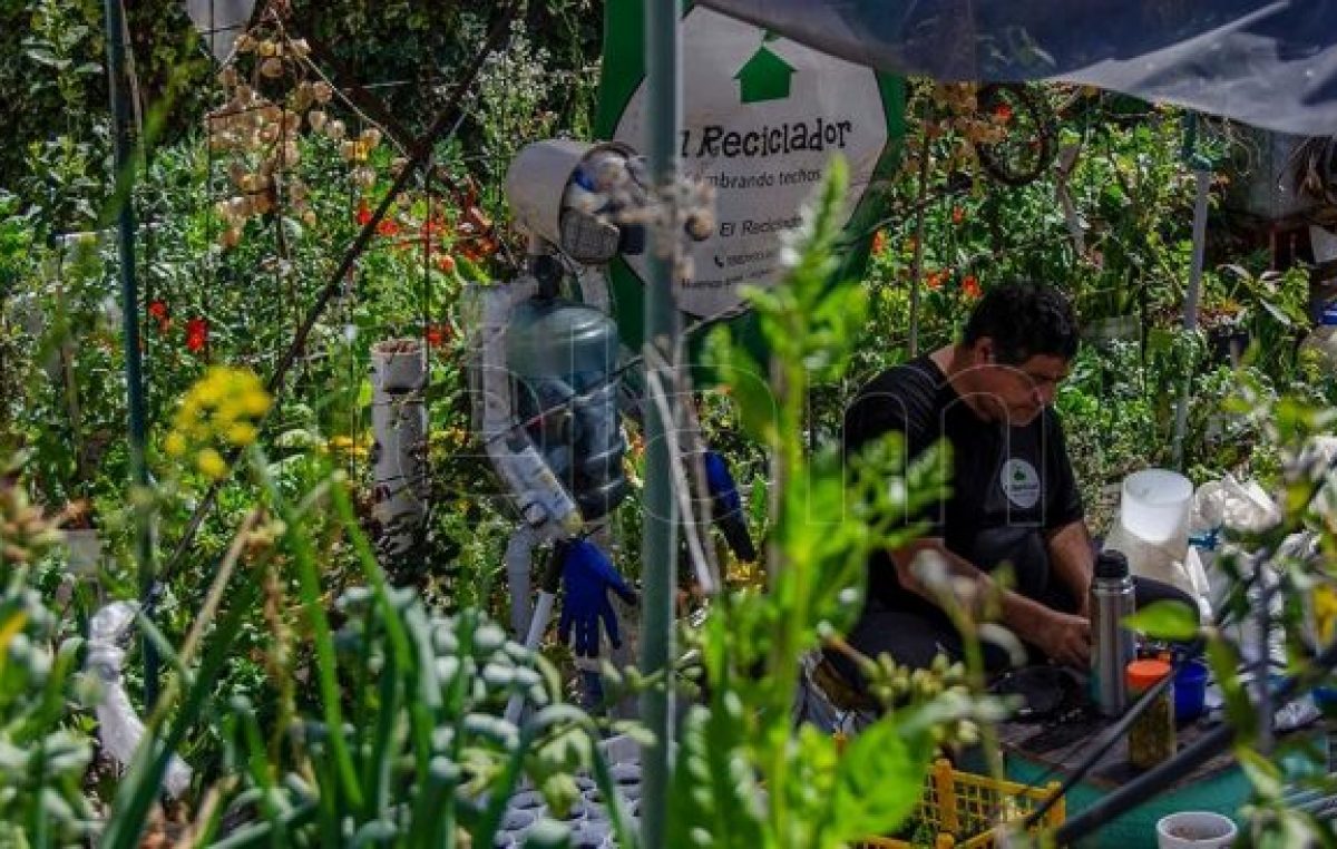 Vecinos en alerta porque el Gobierno porteño amenaza con desalojar su huerta comunitaria