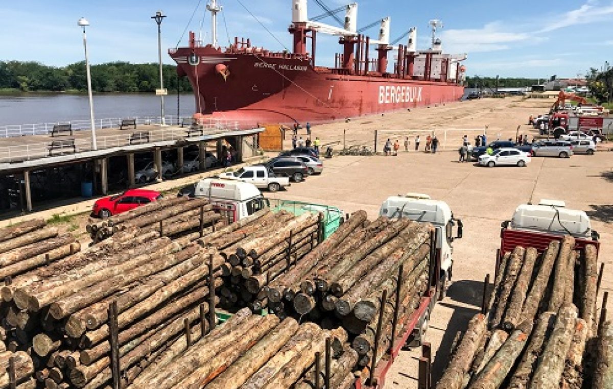 La exportación forestal a través de los puertos entrerrianos ha generado más de 3000 millones de pesos