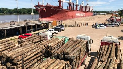 La exportación forestal a través de los puertos entrerrianos ha generado más de 3000 millones de pesos